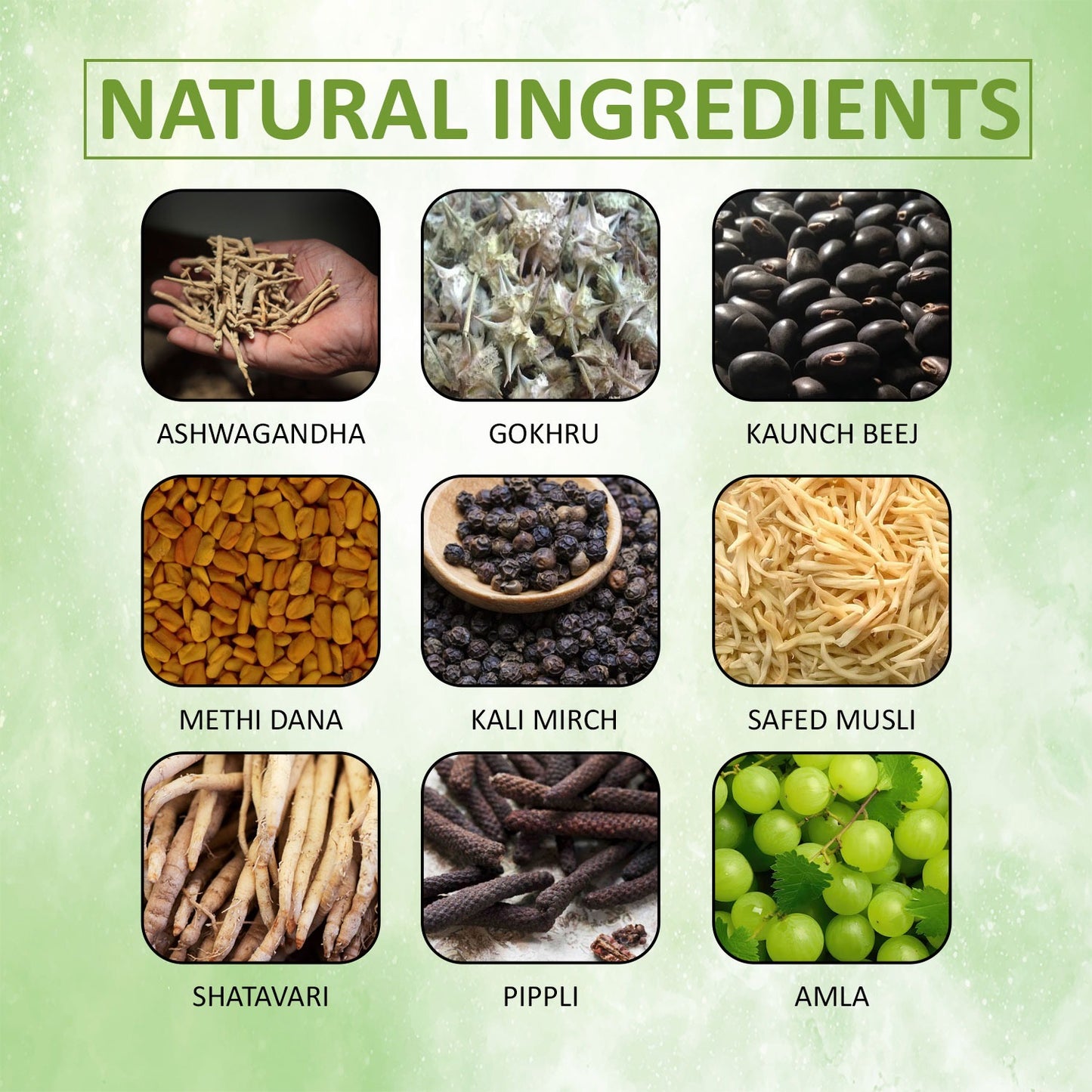 Auremi Multivitamin Capsules | Daily Hair Wellness & Nutritional Support