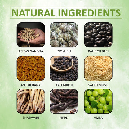 Auremi Multivitamin Capsules | Daily Hair Wellness & Nutritional Support